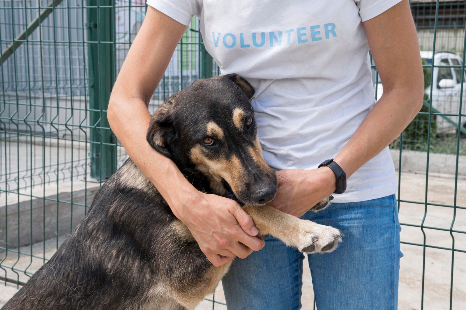 Wolontariuszka trzyma smutnego psa ze schroniska.