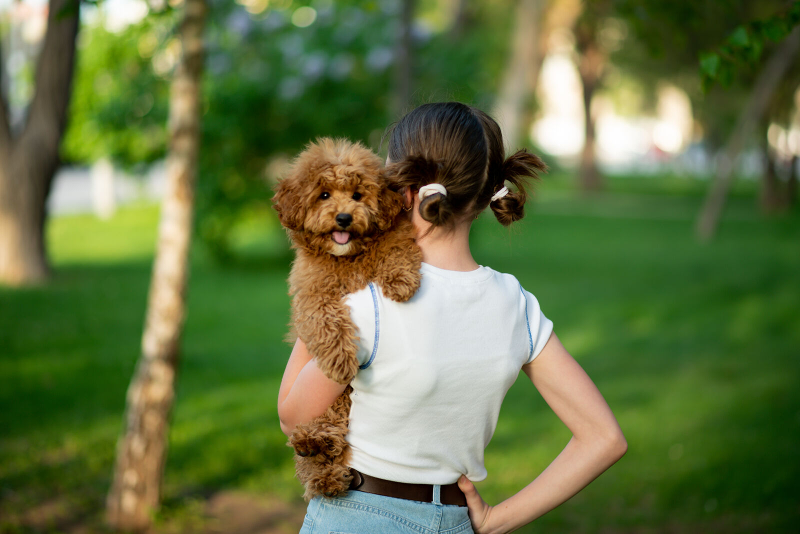 Dziewczyna stojąca tyłem trzyma puchatego psa na ramieniu.