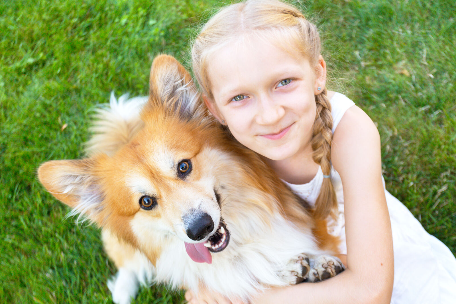 Mała dziewczynka przytula psa na trawie