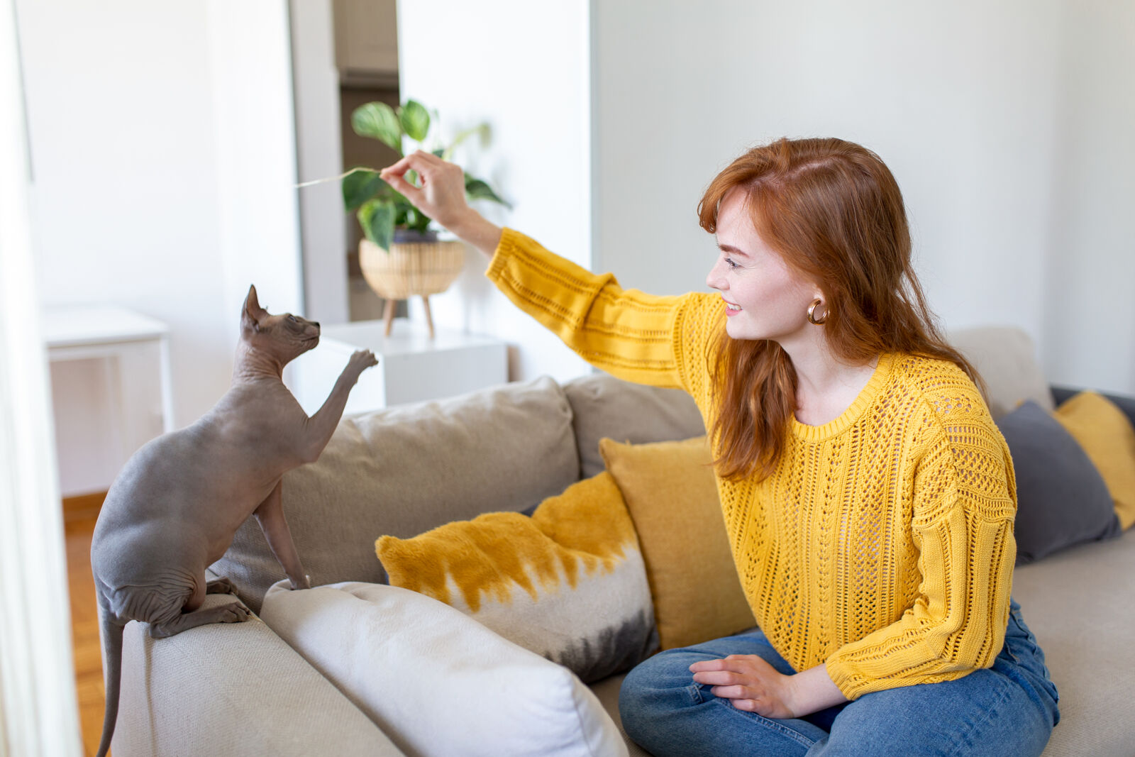 Kobieta w rudych włosach bawi się z kotem na kanapie