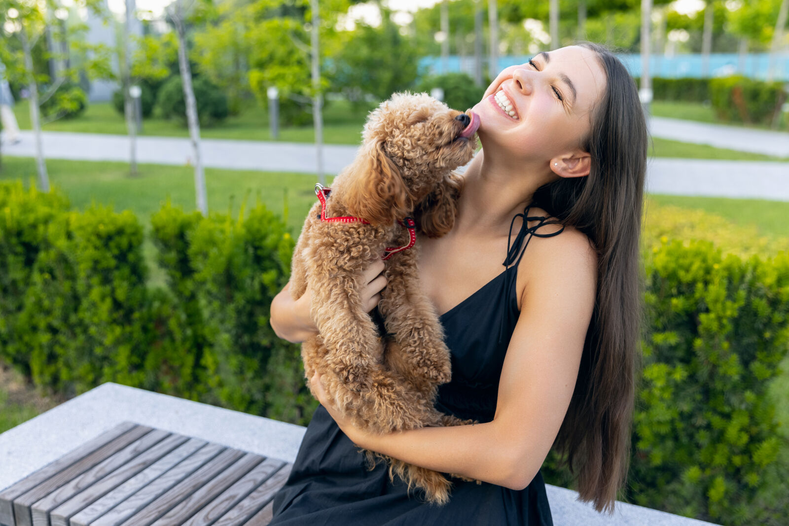 Brązowy pies liże uśmiechniętą kobietę w parku