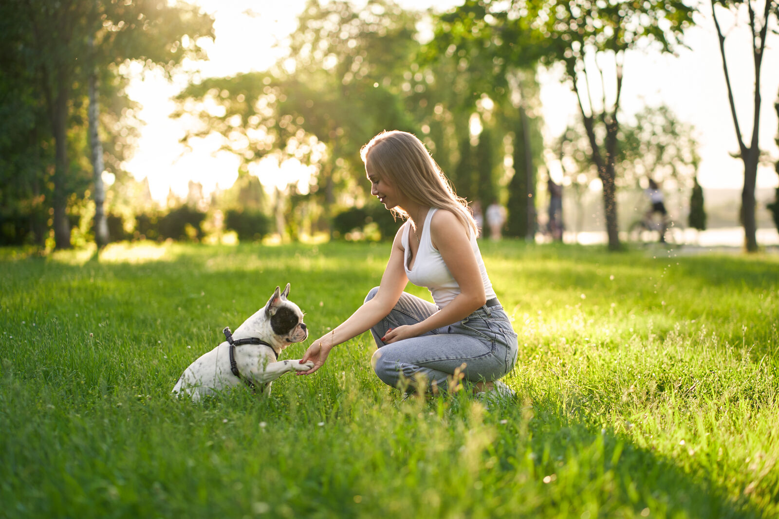 Dziewczyna trzyma małego psa za łapę w parku