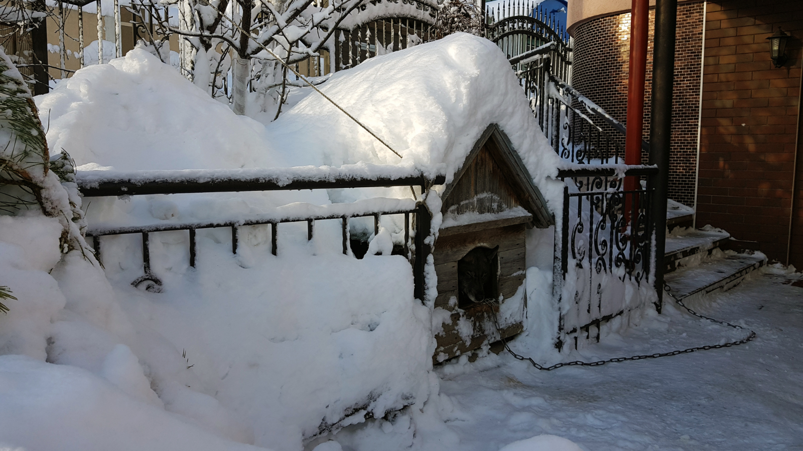 Drewniana buda pod domem przykryta grubą warstwą śniegu.